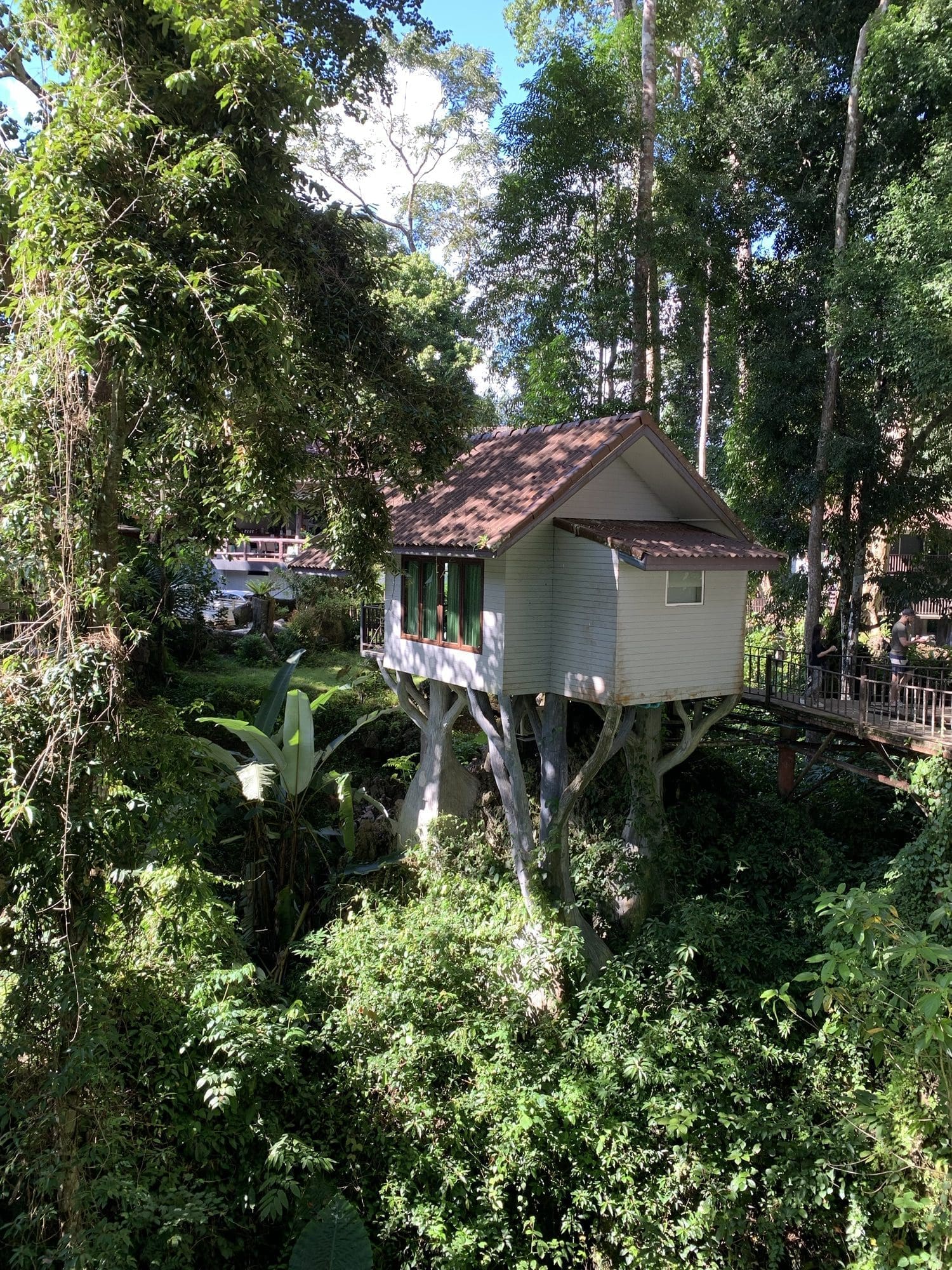 Khao Sok National Park Tree House Resort