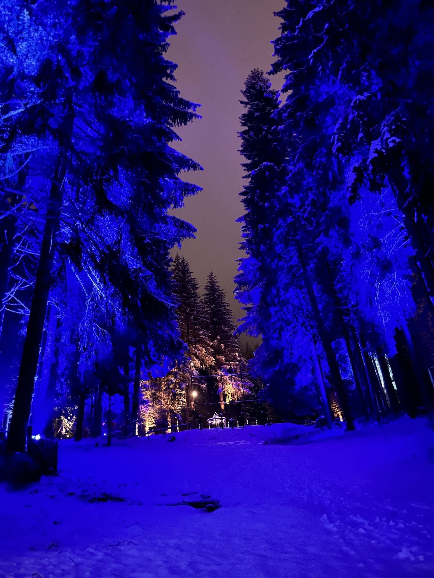 Top Things to Do in Les Gets for Family Après Ski Fun