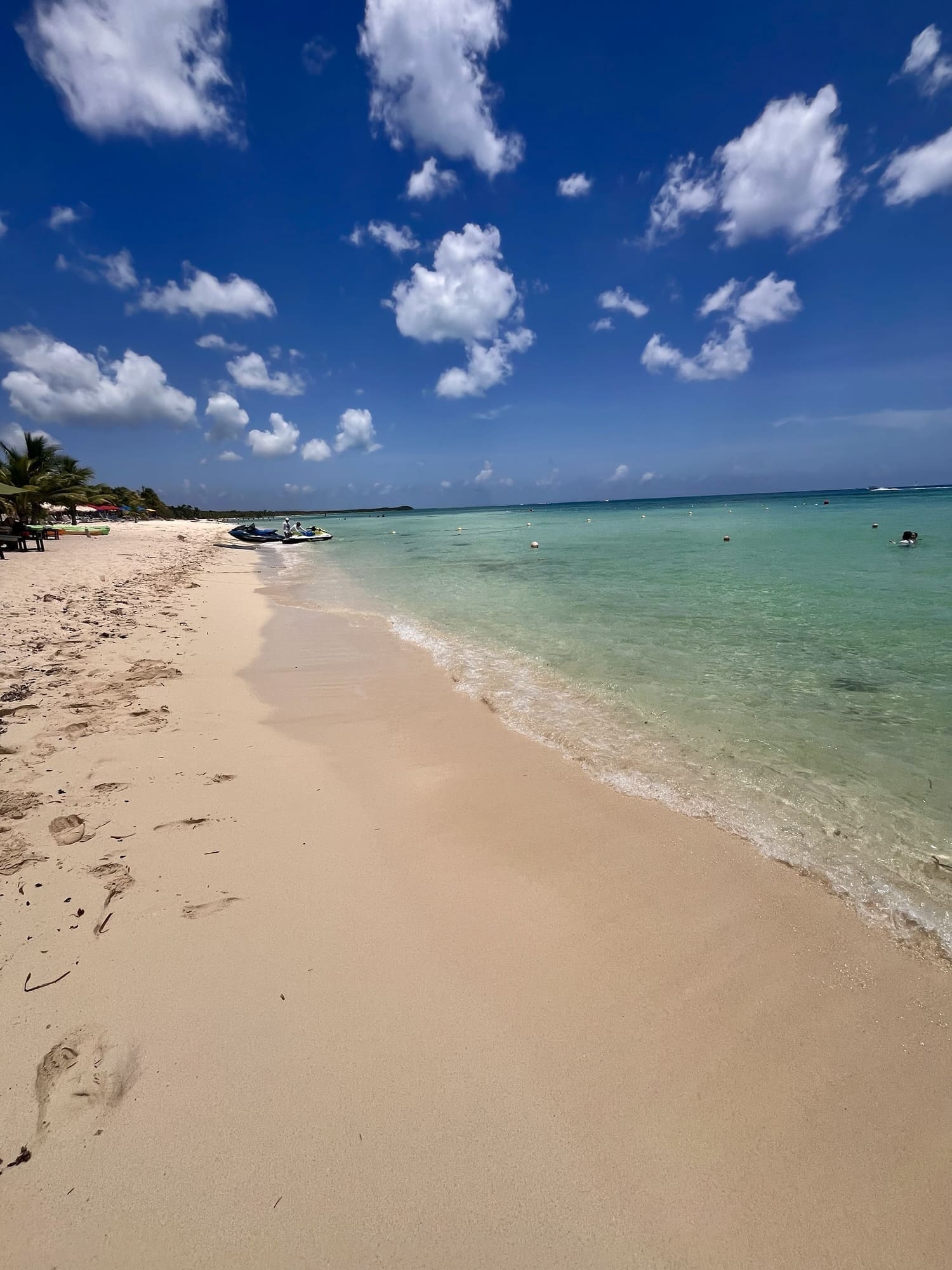 How to Avoid Sargassum in Mexico: Best Sargassum-Free Beaches & Alternatives