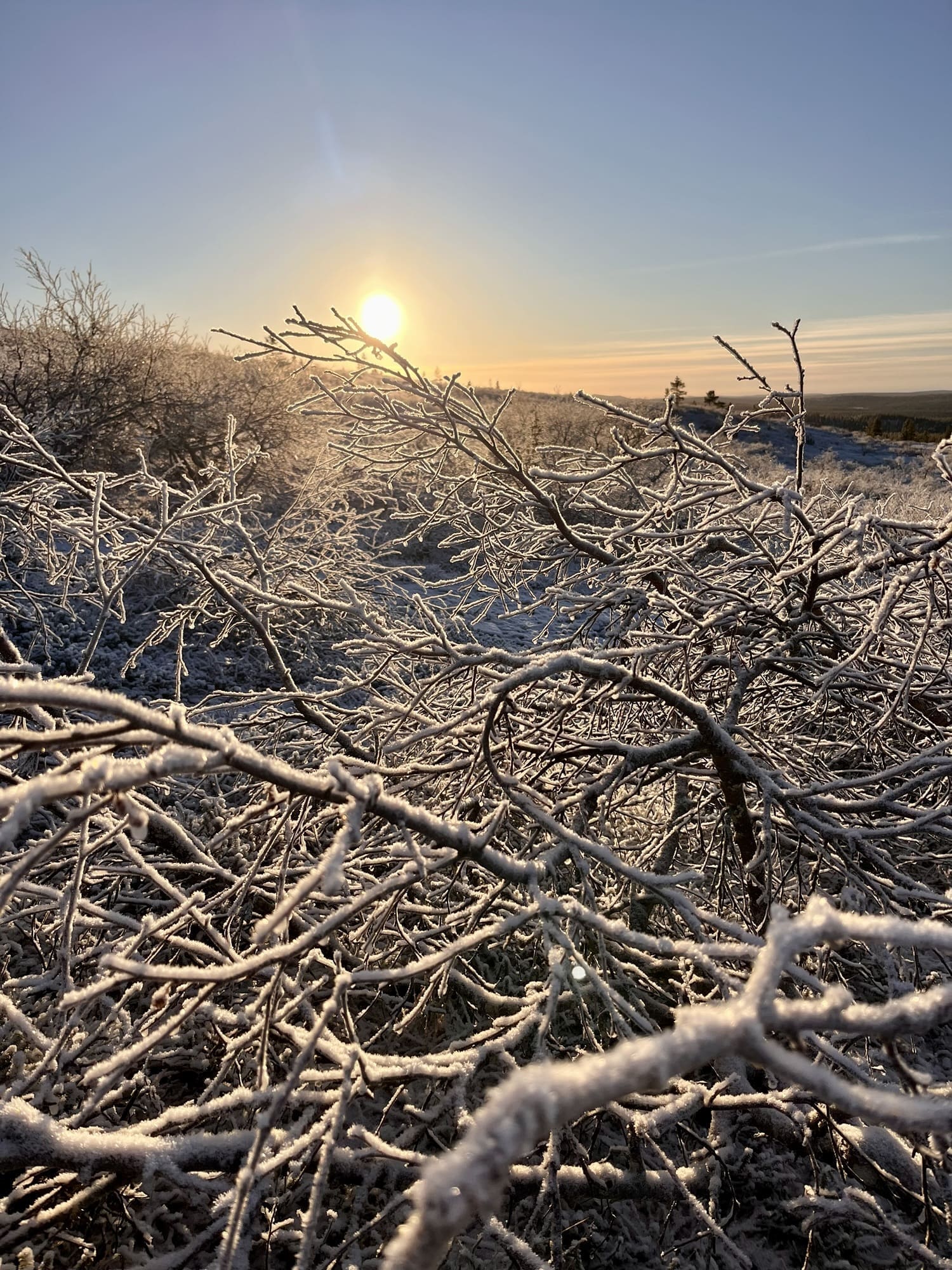 Lapland Winter Planning Checklist & Packing List